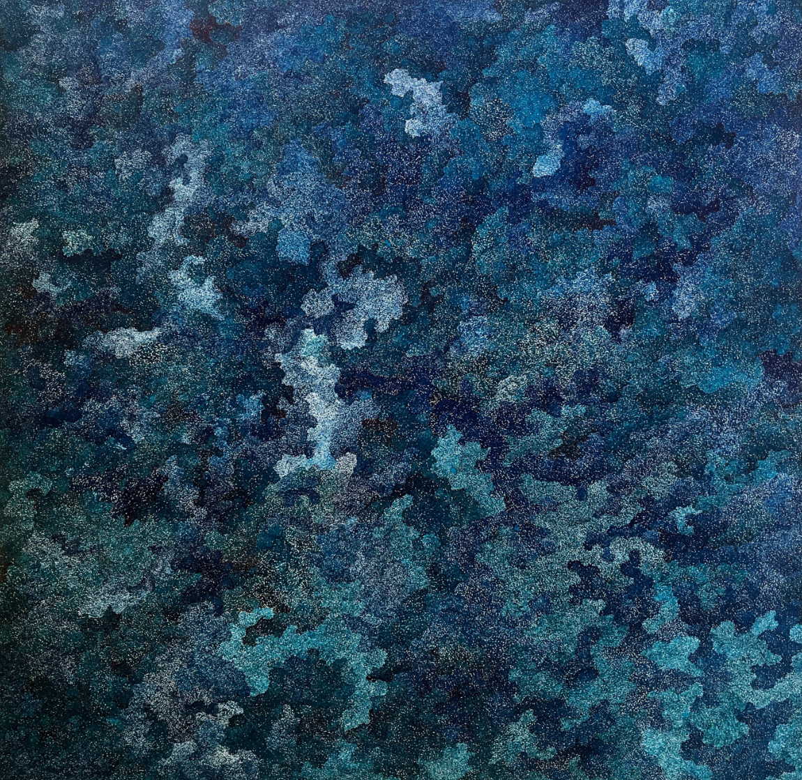 Blind Forest Artwork
